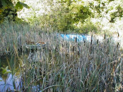 Libkovice, bazének s fontánou Libkovice, bazének s fontánou