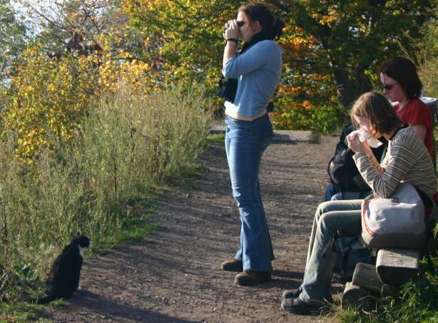 Na Milešovce Na Milešovce