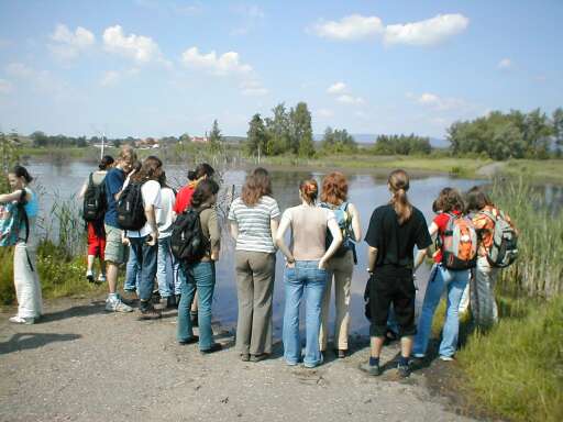 Silnice z Libkovic do Mariánských Radčic Silnice z Libkovic do Mariánských Radčic